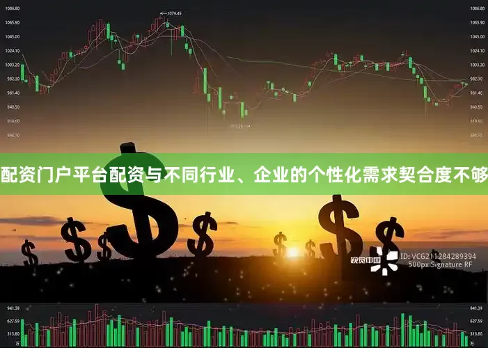 配资门户平台配资与不同行业、企业的个性化需求契合度不够